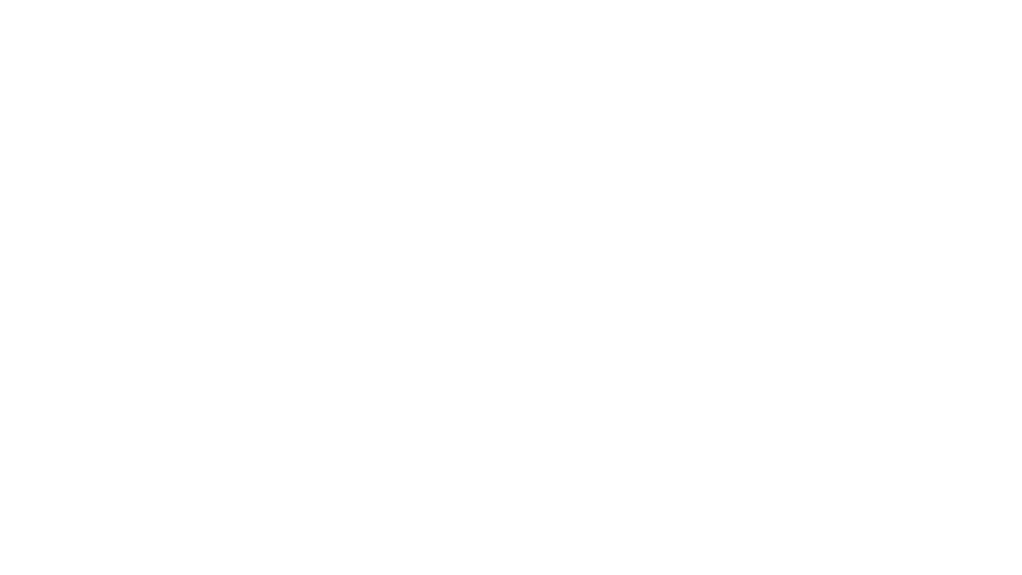 3 (1)
