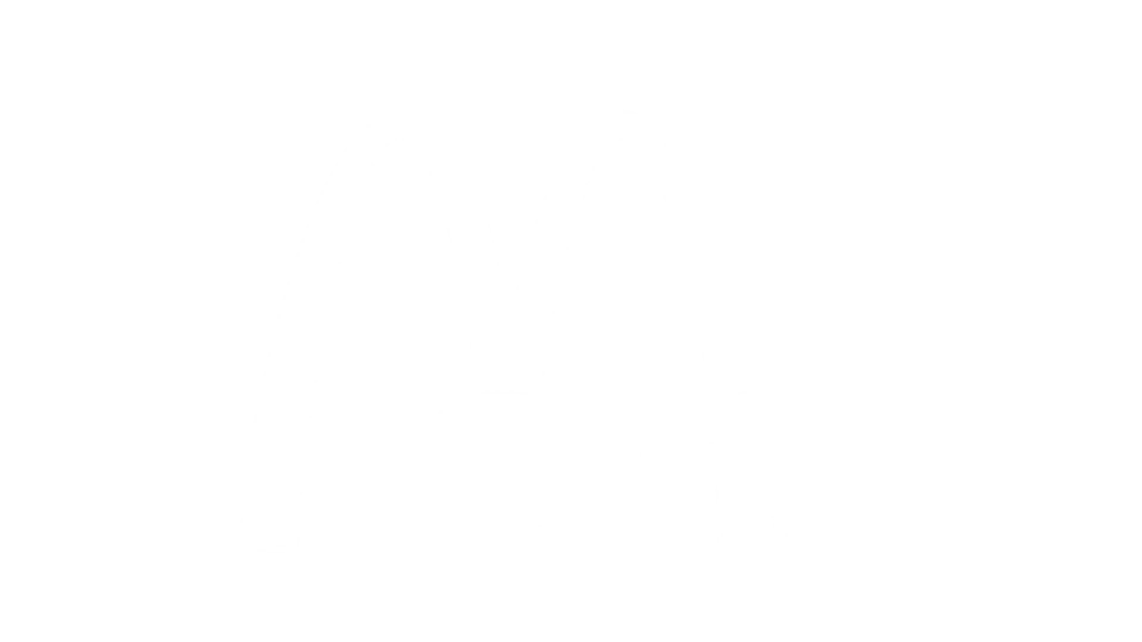 1 (1)